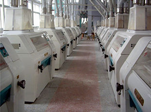 產(chǎn)品名稱：磨粉車間2
產(chǎn)品型號：
產(chǎn)品規(guī)格：