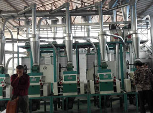 產(chǎn)品名稱：日加工面粉10噸--30噸成套設備
產(chǎn)品型號：
產(chǎn)品規(guī)格：