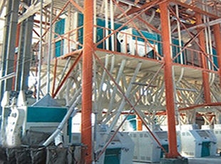 產(chǎn)品名稱：日加工小麥30噸---200噸鋼架式成套設備
產(chǎn)品型號：
產(chǎn)品規(guī)格：